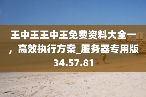 王中王王中王免費(fèi)資料大全一，高效執(zhí)行方案_服務(wù)器專(zhuān)用版34.57.81