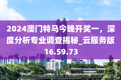 2024澳門特馬今晚開獎一，深度分析專業(yè)調(diào)查揭秘_云服務(wù)版16.59.73