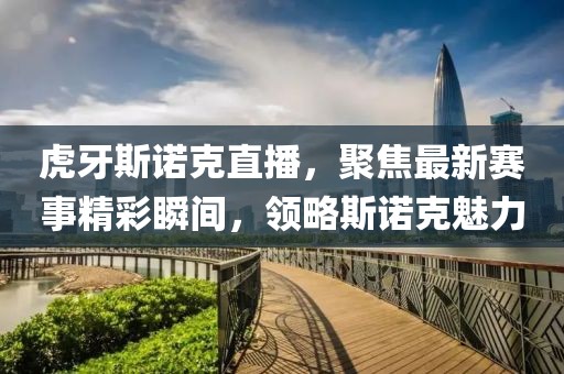 虎牙斯諾克直播，聚焦最新賽事精彩瞬間，領(lǐng)略斯諾克魅力