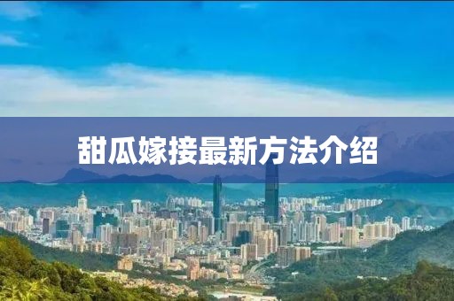 甜瓜嫁接最新方法介紹