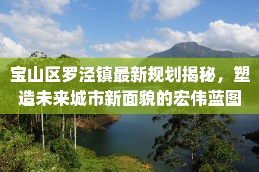 寶山區(qū)羅涇鎮(zhèn)最新規(guī)劃揭秘，塑造未來城市新面貌的宏偉藍(lán)圖