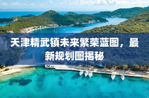 天津精武鎮(zhèn)未來繁榮藍(lán)圖，最新規(guī)劃圖揭秘