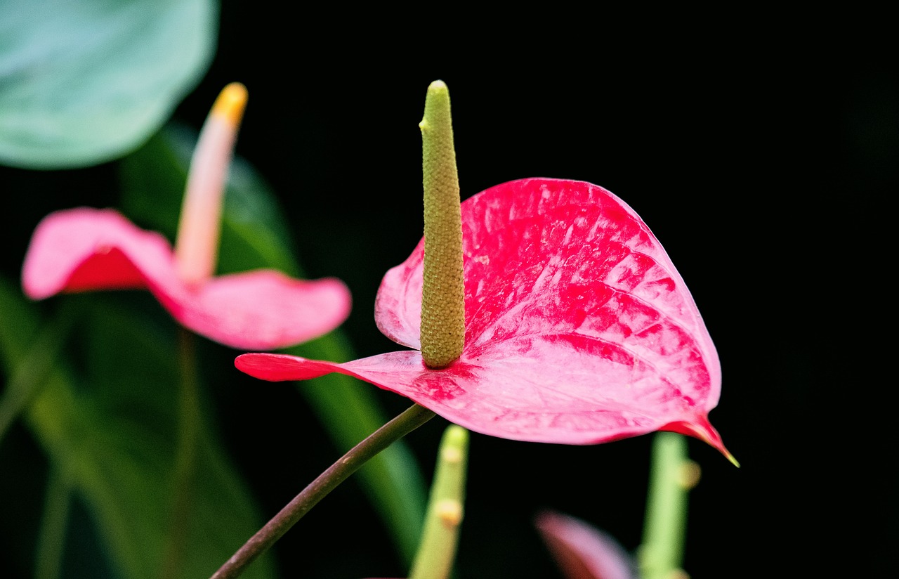 申通最新新聞引領(lǐng)物流行業(yè)新動態(tài)