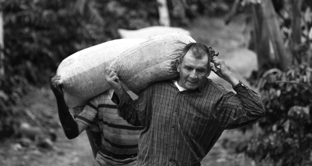 電改最新動(dòng)態(tài)，推動(dòng)能源轉(zhuǎn)型，助力可持續(xù)發(fā)展