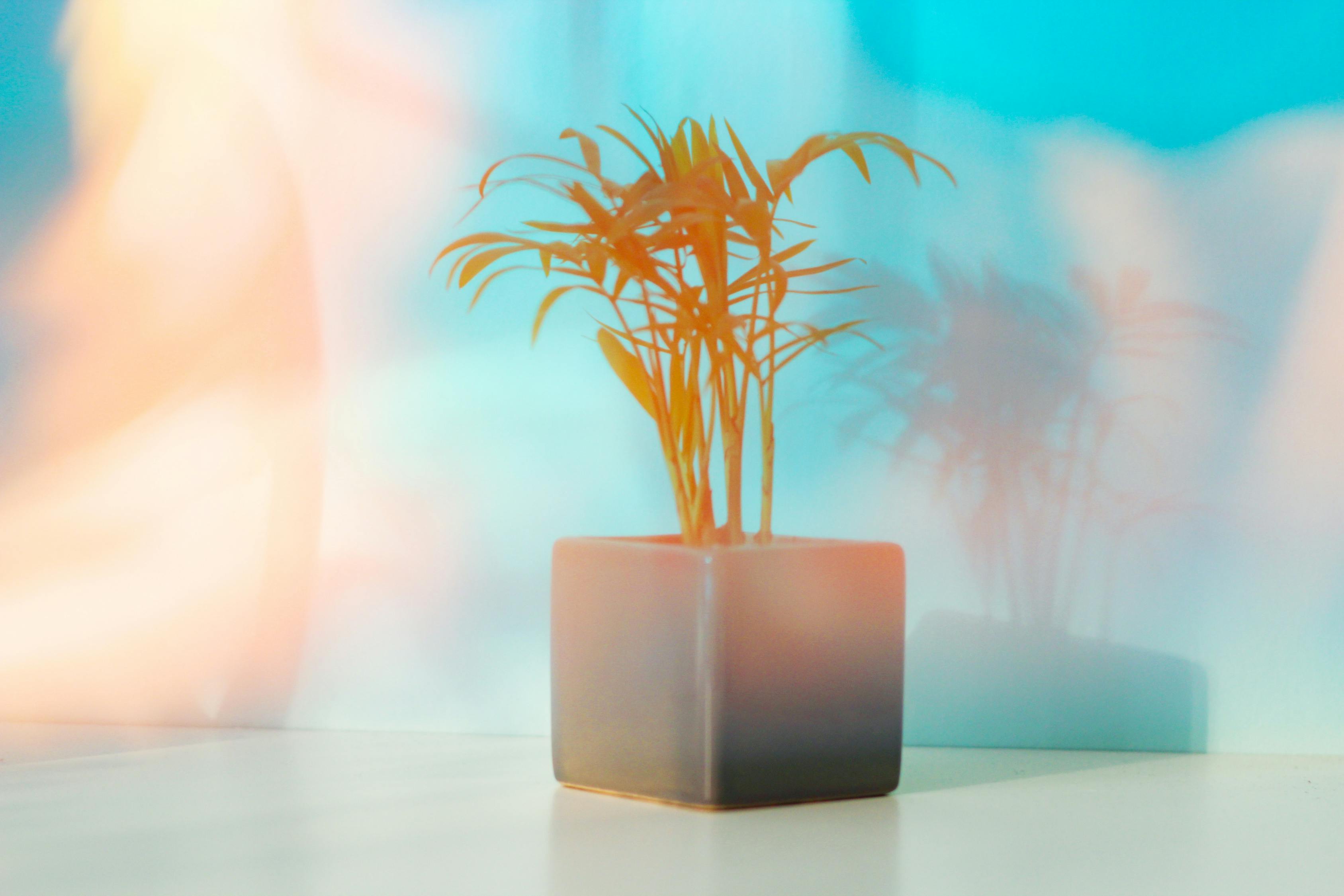 追求卓越，創(chuàng)造無限可能，2017狠狠干最新版展望