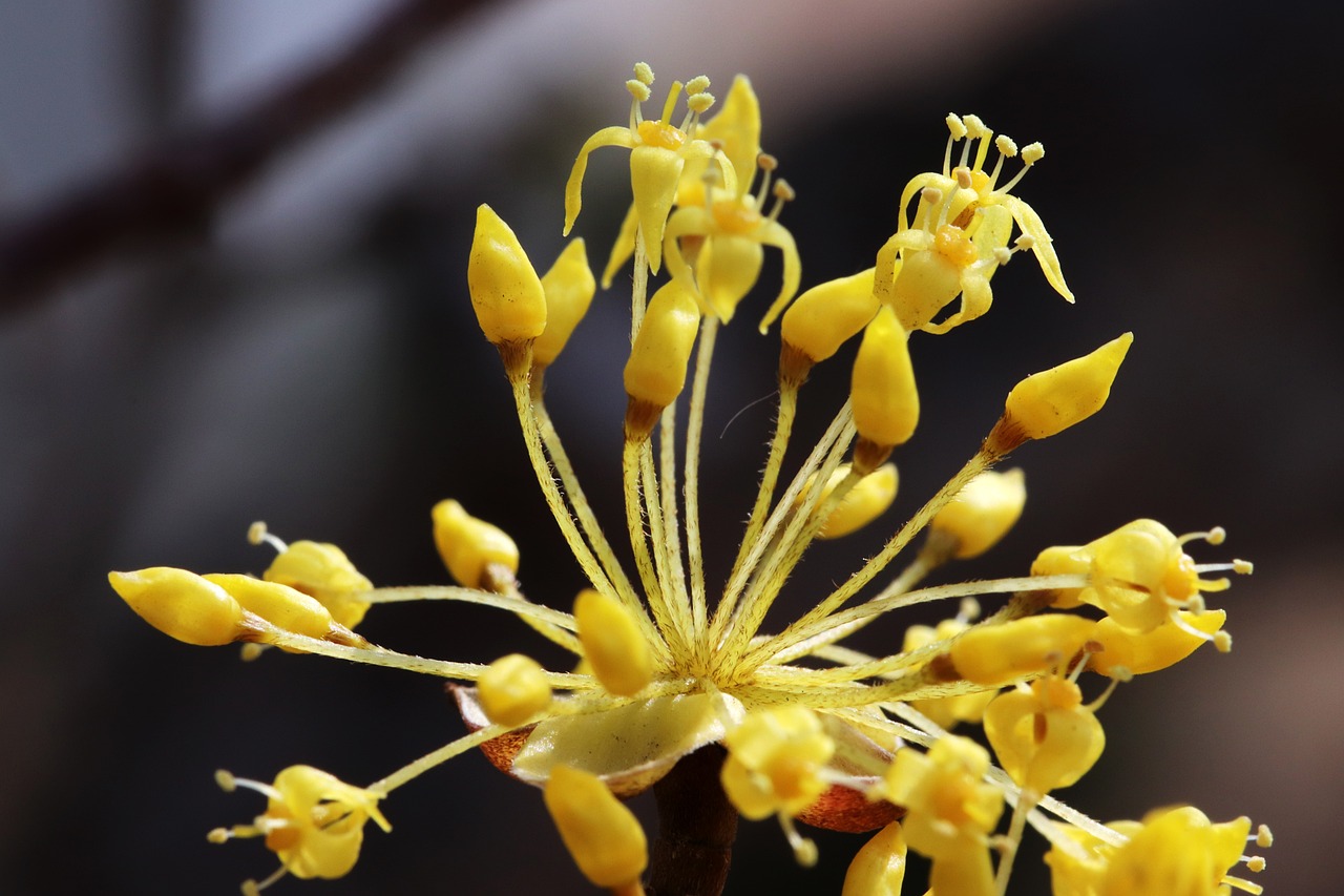 鹽湖股份最新消息綜述，今日動(dòng)態(tài)一網(wǎng)打盡