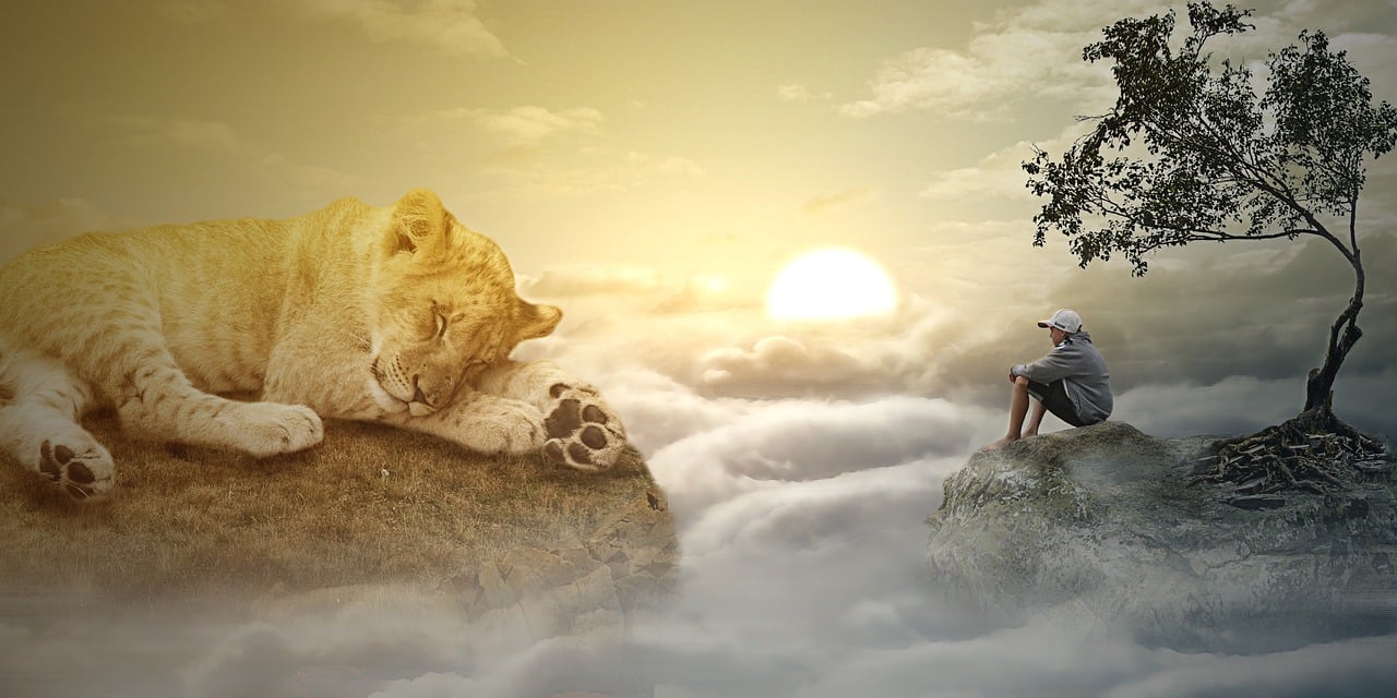 最新念佛感應(yīng)，探索內(nèi)心奧秘與外在奇跡的體驗