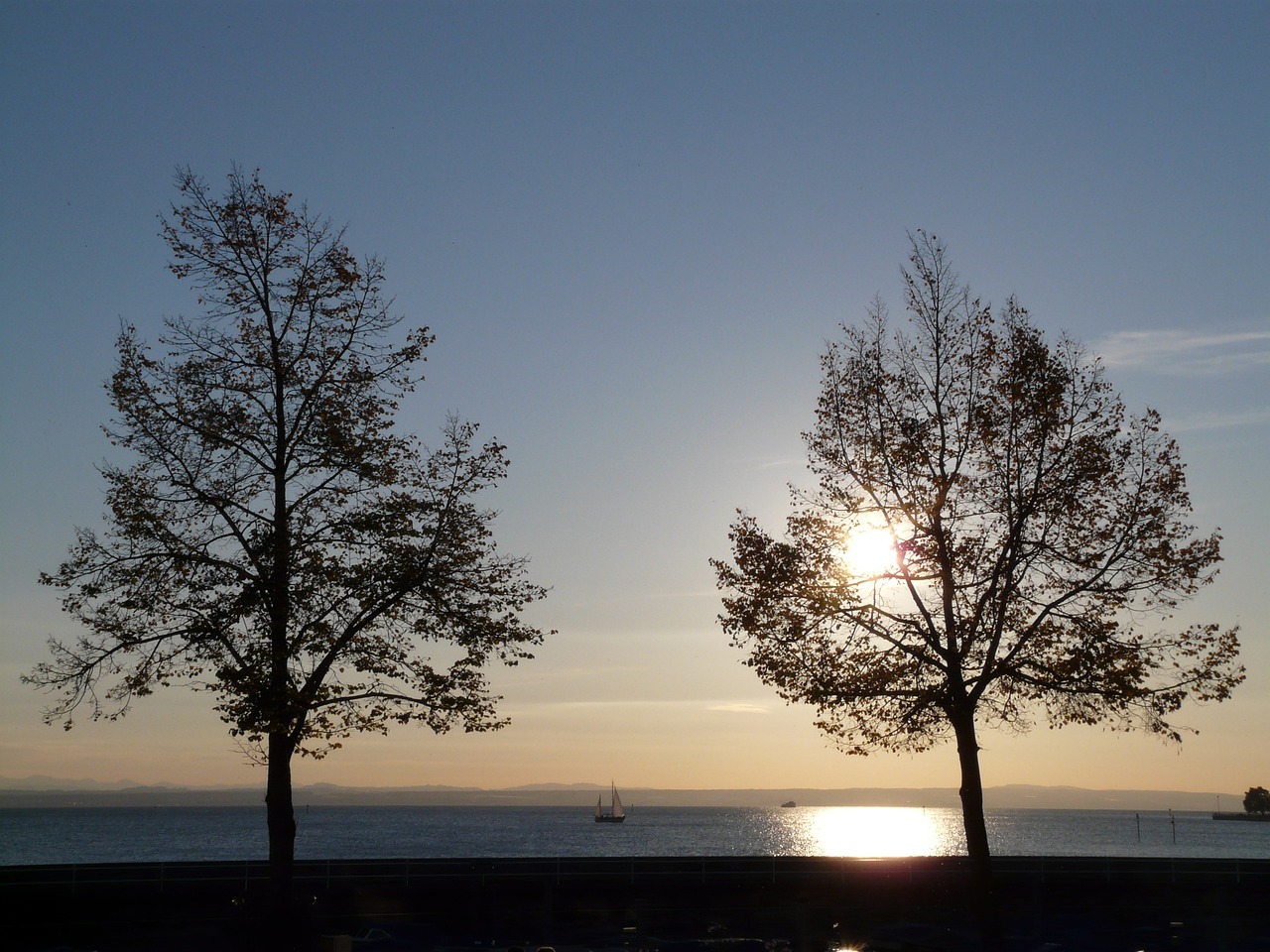 楊穎最新新聞動(dòng)態(tài)，娛樂(lè)圈中的璀璨之星閃耀亮相