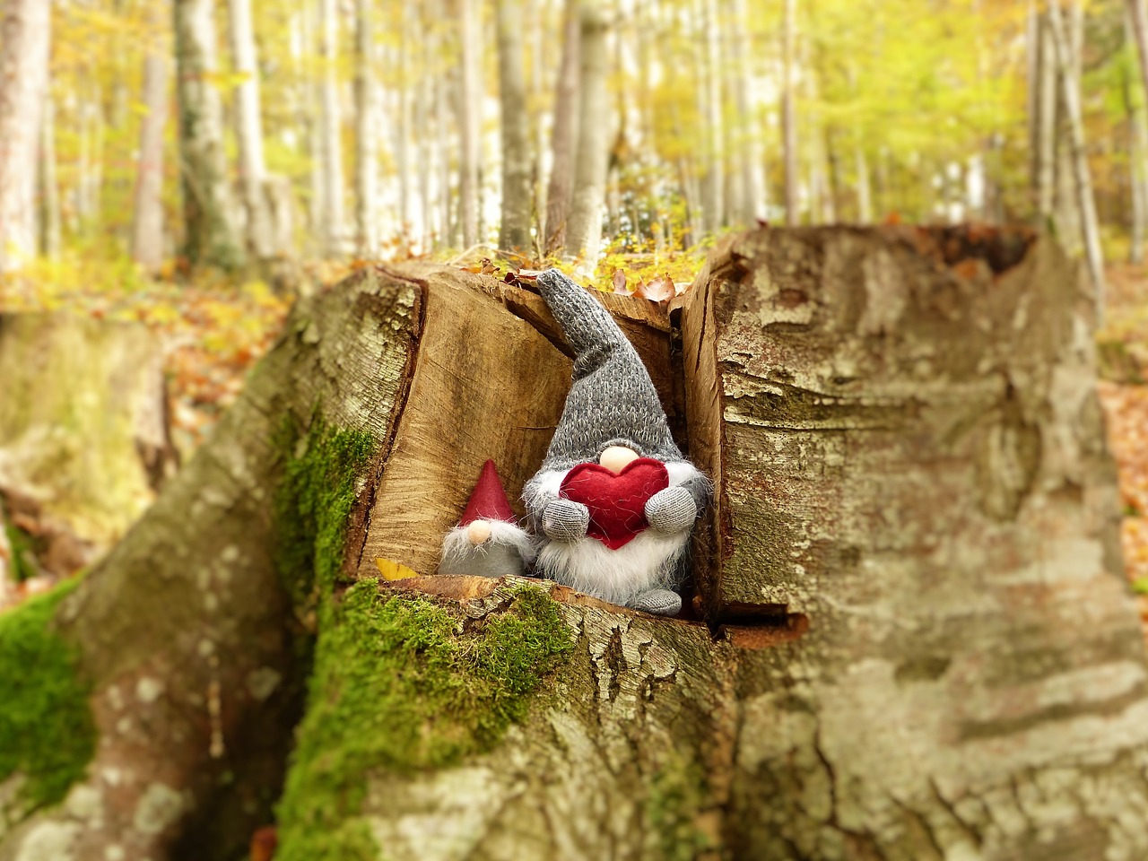 小螞蟻的奇妙冒險(xiǎn)之旅，最新幼兒故事精選