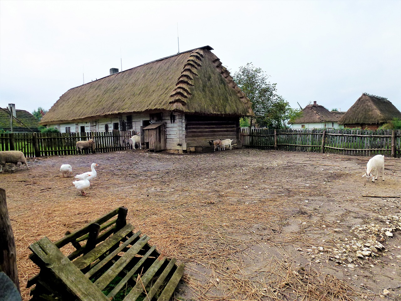 最新農村蓋房趨勢及其影響分析