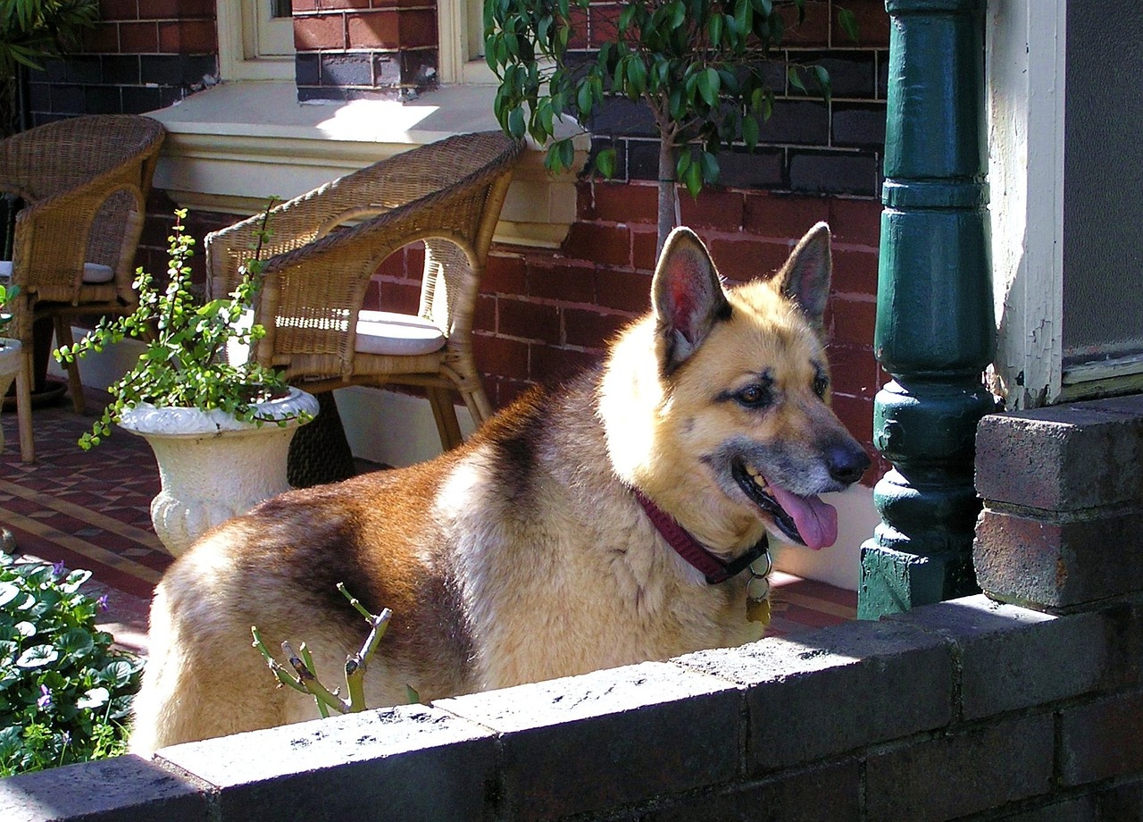 珍珠港最新動(dòng)態(tài)，歷史與現(xiàn)代的交匯點(diǎn)觀察