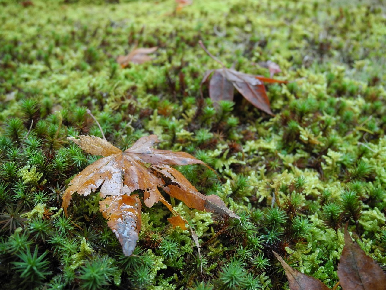 北流最新新聞深度解析，動態(tài)更新與熱點(diǎn)聚焦