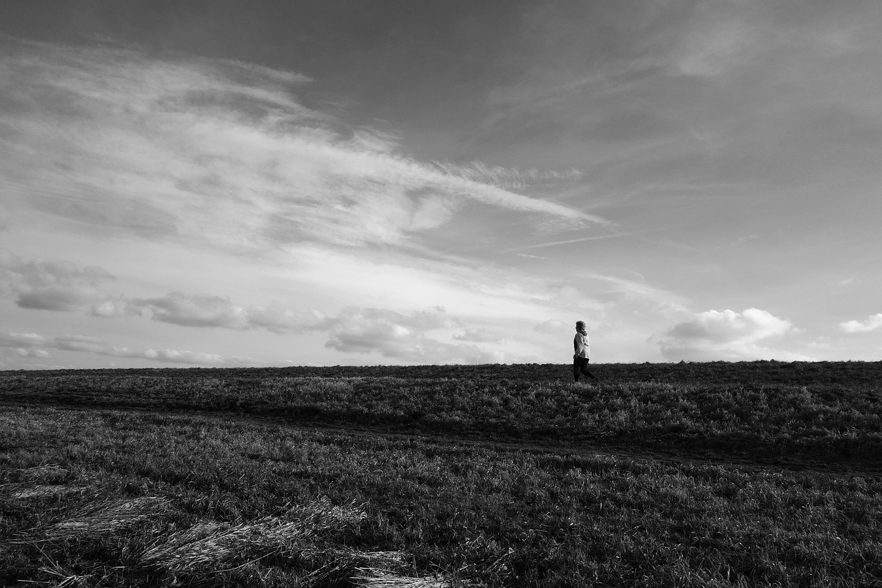 鄒平最新招聘動(dòng)態(tài)發(fā)布，共創(chuàng)未來機(jī)遇時(shí)刻