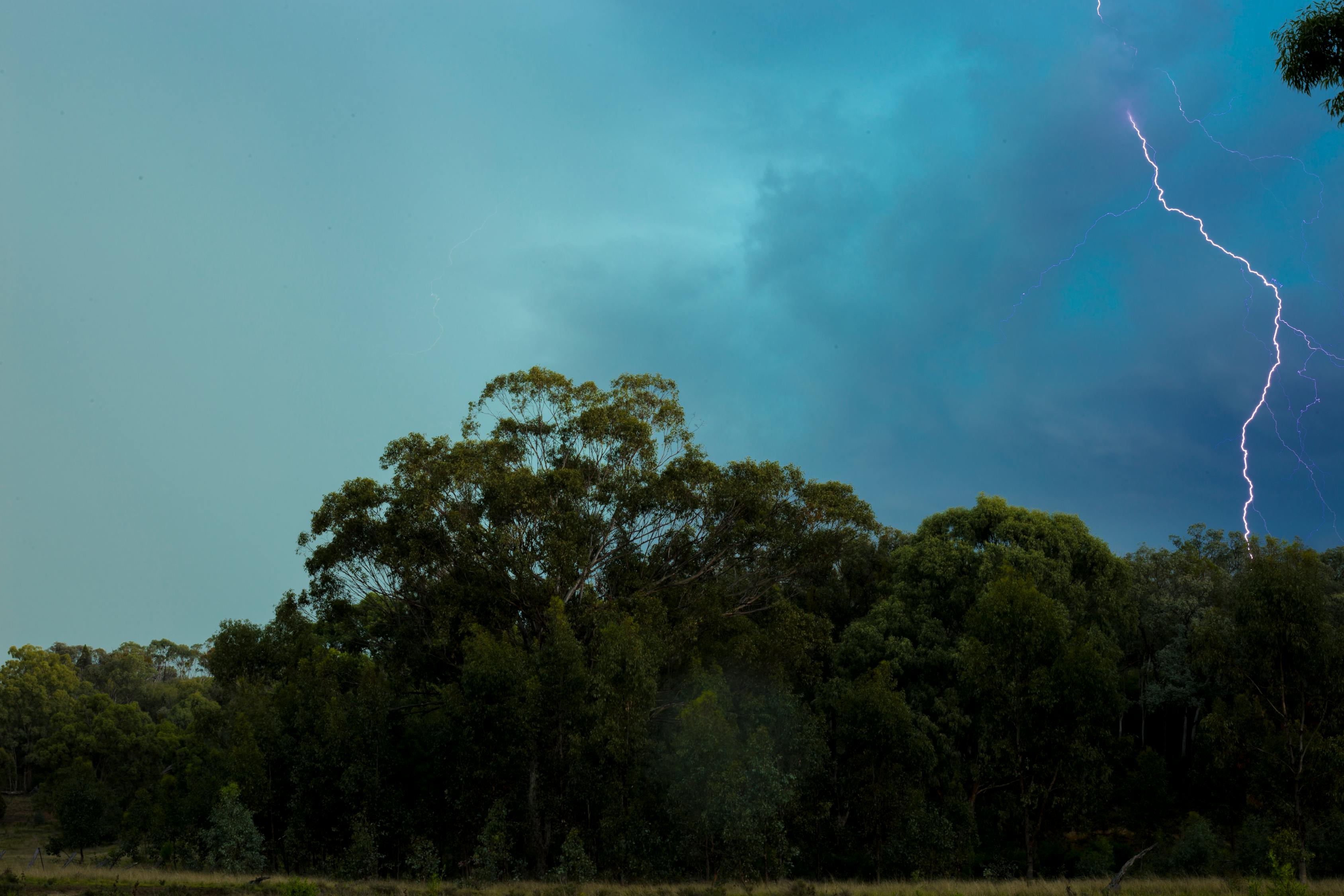 張麗莉最新動(dòng)態(tài)，英雄教師的新征程與挑戰(zhàn)