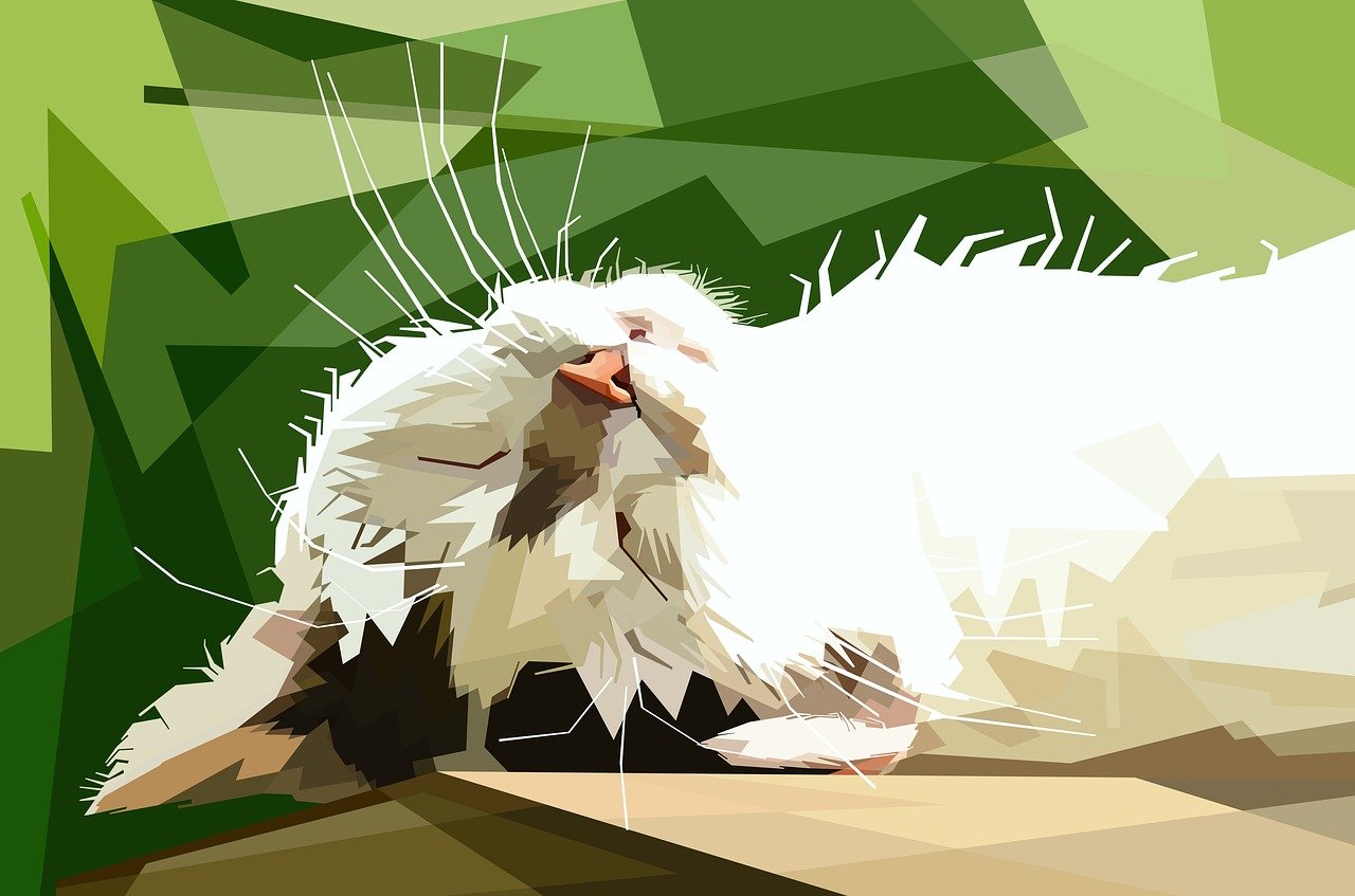 美邦引領(lǐng)時(shí)尚潮流新動(dòng)態(tài)，最新消息速遞