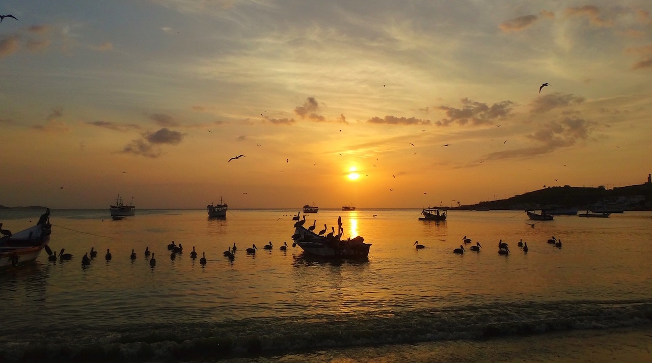 全球大豆市場(chǎng)動(dòng)態(tài)深度解析，聚焦美豆最新消息