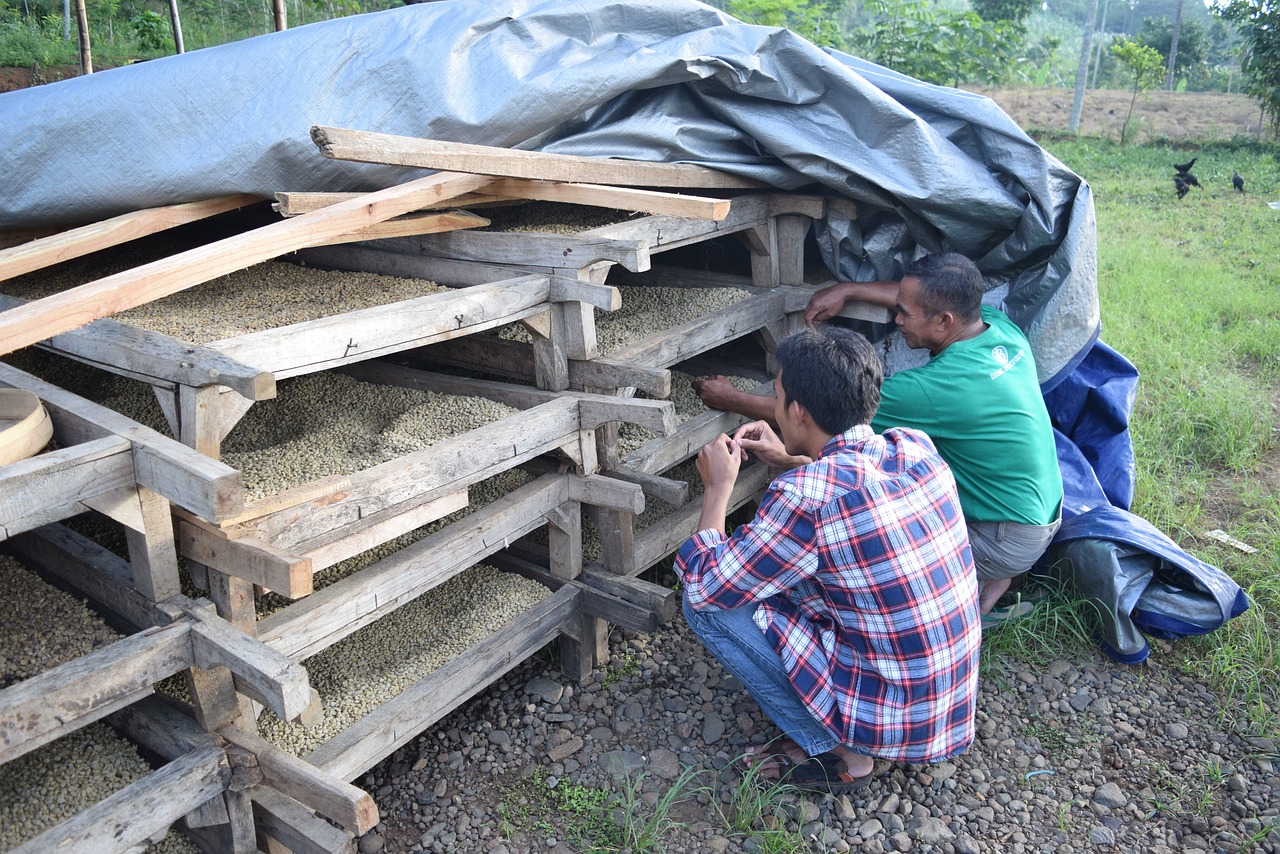 奉化勞動力市場最新動態(tài)及分析概覽