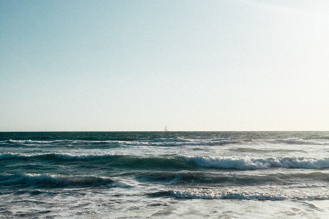 魯豫持續(xù)展現(xiàn)明星風(fēng)采與媒體影響力新動(dòng)態(tài)