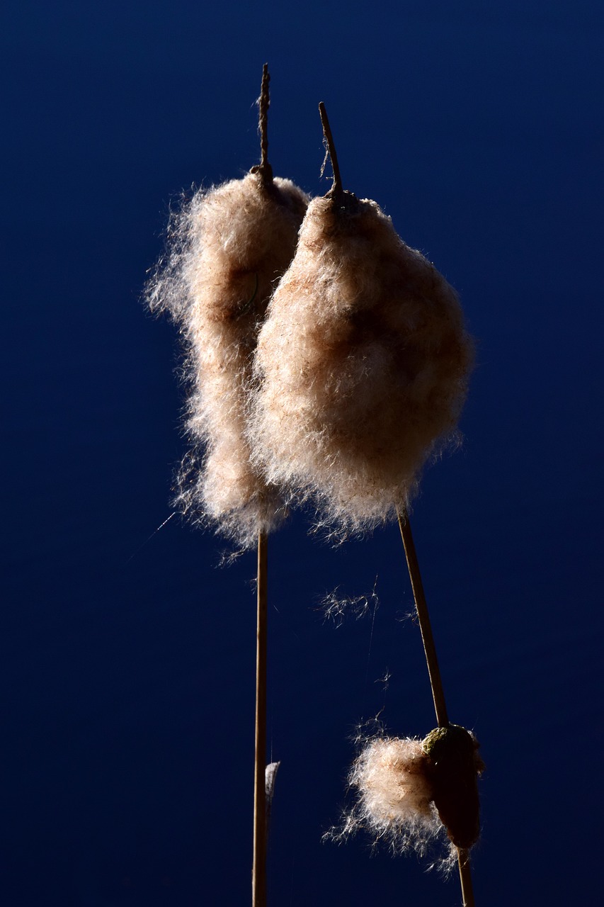 斯丹賽引領(lǐng)科技創(chuàng)新，塑造未來(lái)產(chǎn)業(yè)格局新動(dòng)態(tài)