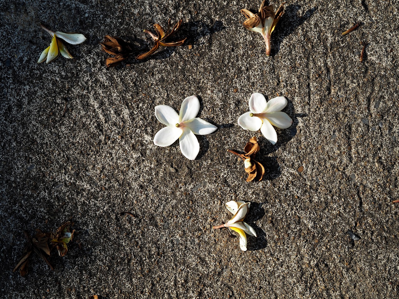 靖江并入無錫的最新動態(tài)或消息更新