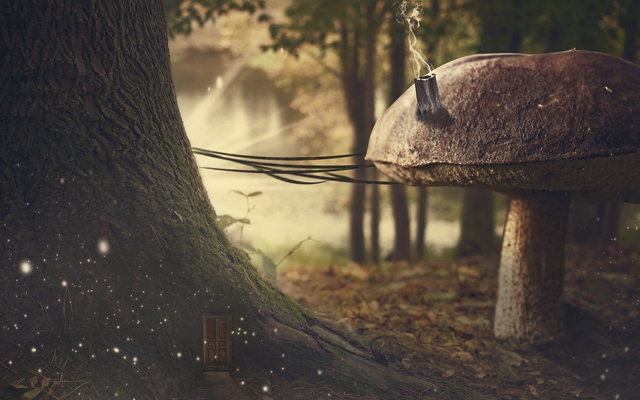 城管改革最新動態(tài)，重塑城市管理新面貌