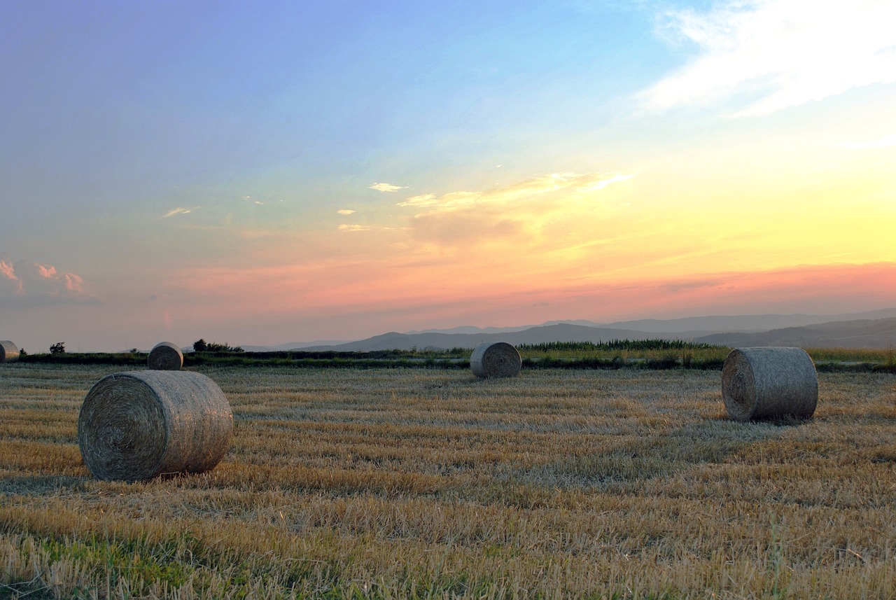 固金所最新動態(tài)解讀，發(fā)展進展、行業(yè)展望與全面消息速遞