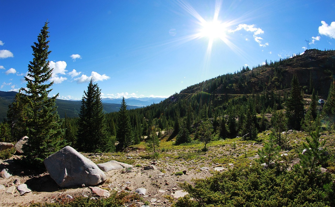 屺亭開發(fā)區(qū)最新招工信息，招工動(dòng)態(tài)及其影響分析