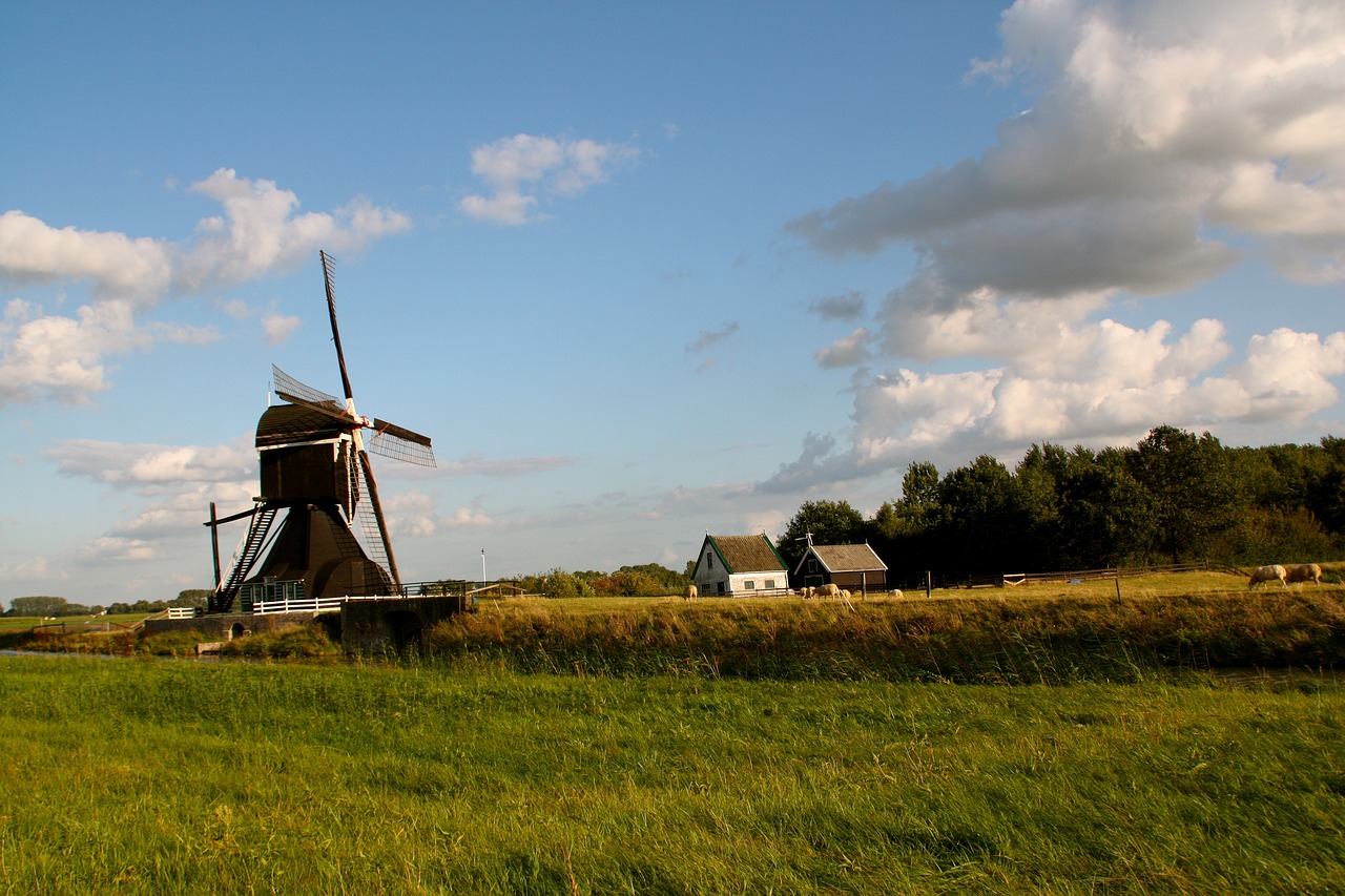 大望村改造最新動態(tài)，重塑鄉(xiāng)村面貌，邁向現(xiàn)代化新征程