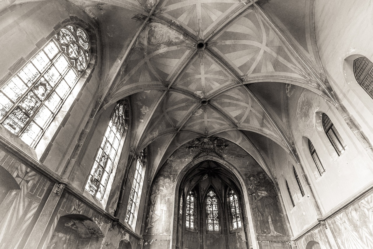 老虎直播二維碼最新動態(tài)，用戶體驗探討與最新進(jìn)展