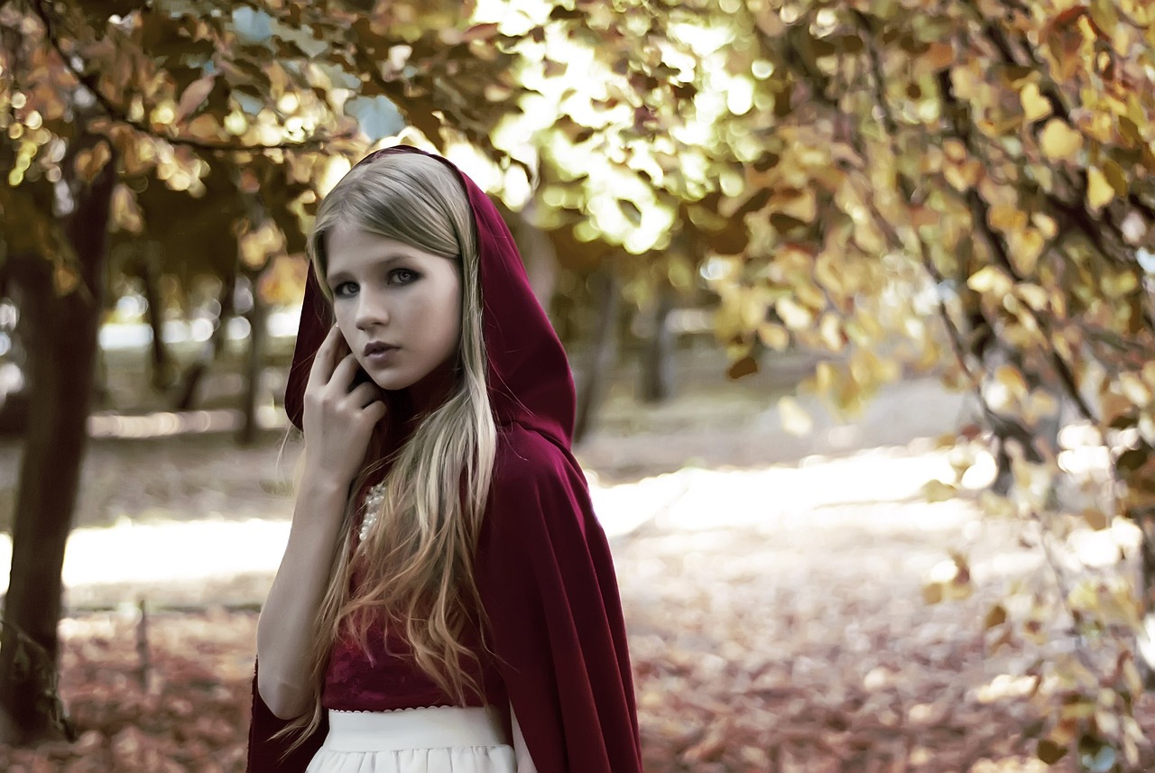 金最新韓劇，璀璨星光下的故事傳奇