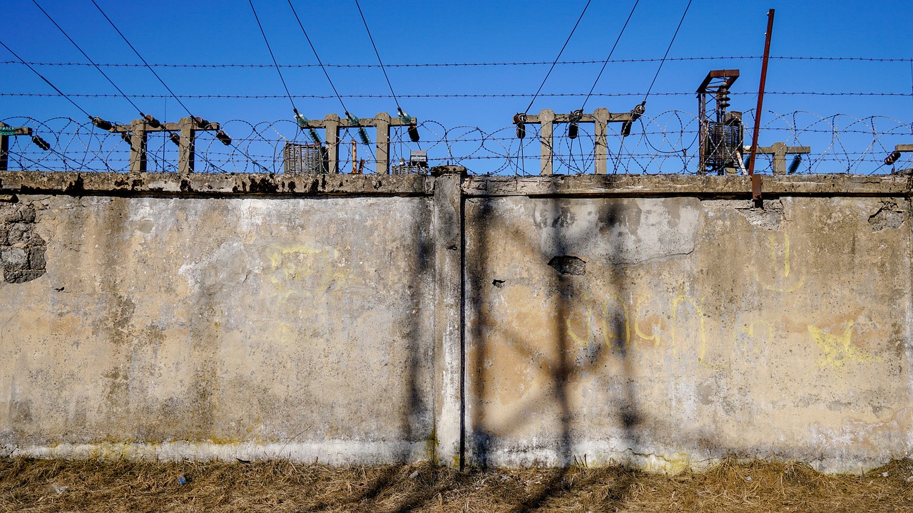 最新璇耕機，引領農(nóng)業(yè)科技革新之路