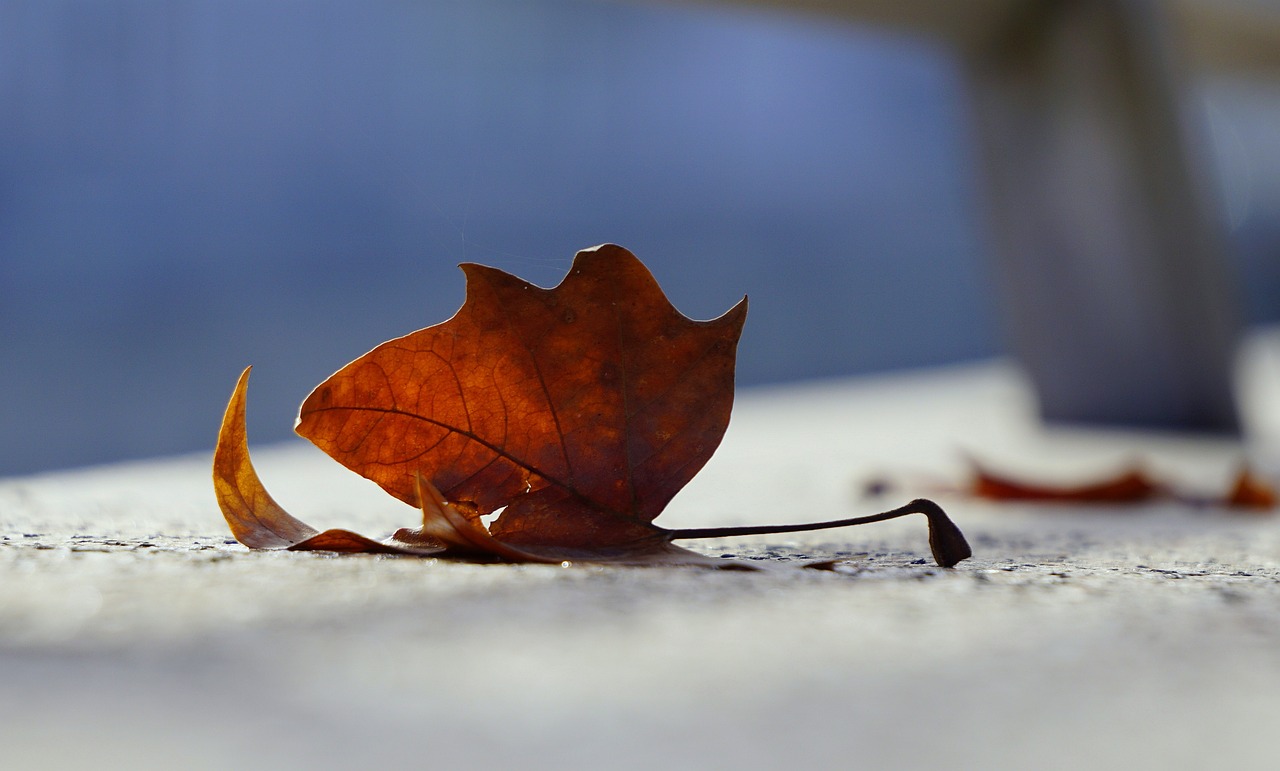 南野燈最新動態(tài)，探索未來之光