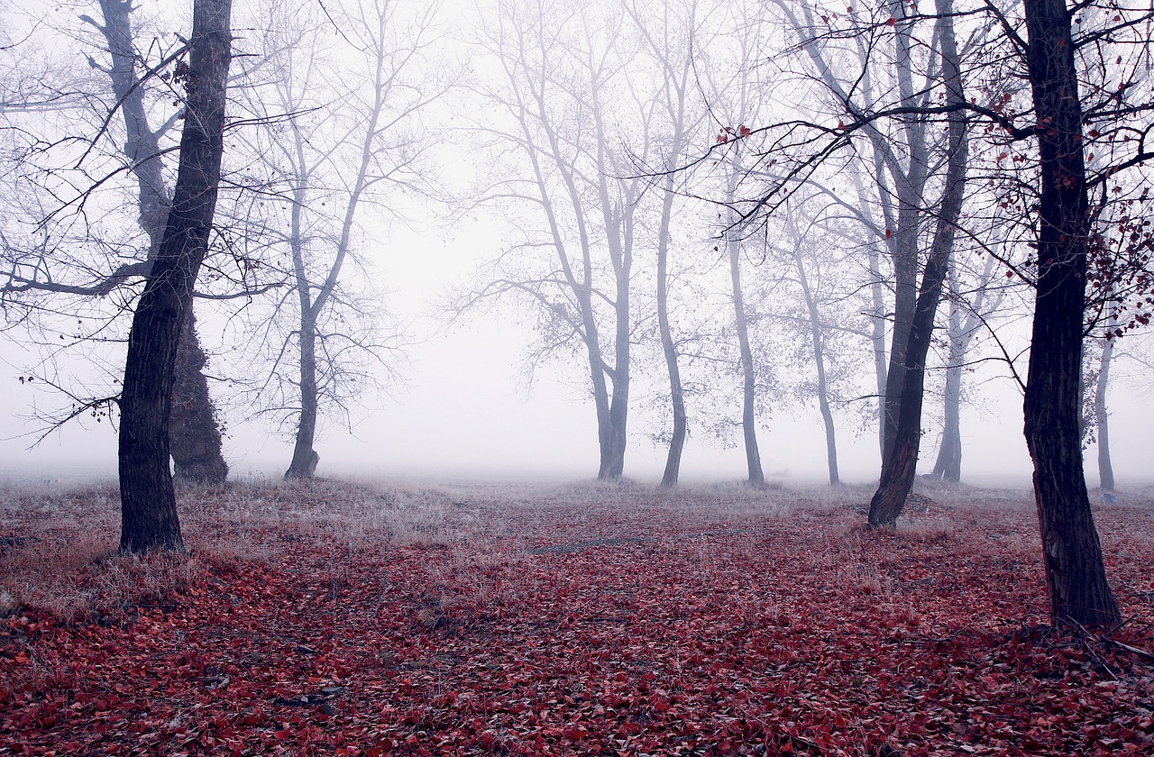 探索姜山未知魅力，冷門景點(diǎn)的神秘之旅