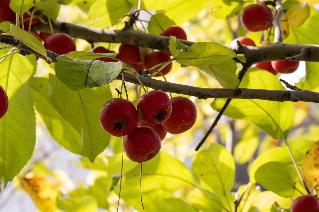 安徽最新新聞聚焦，安徽發(fā)展新動(dòng)態(tài)速遞