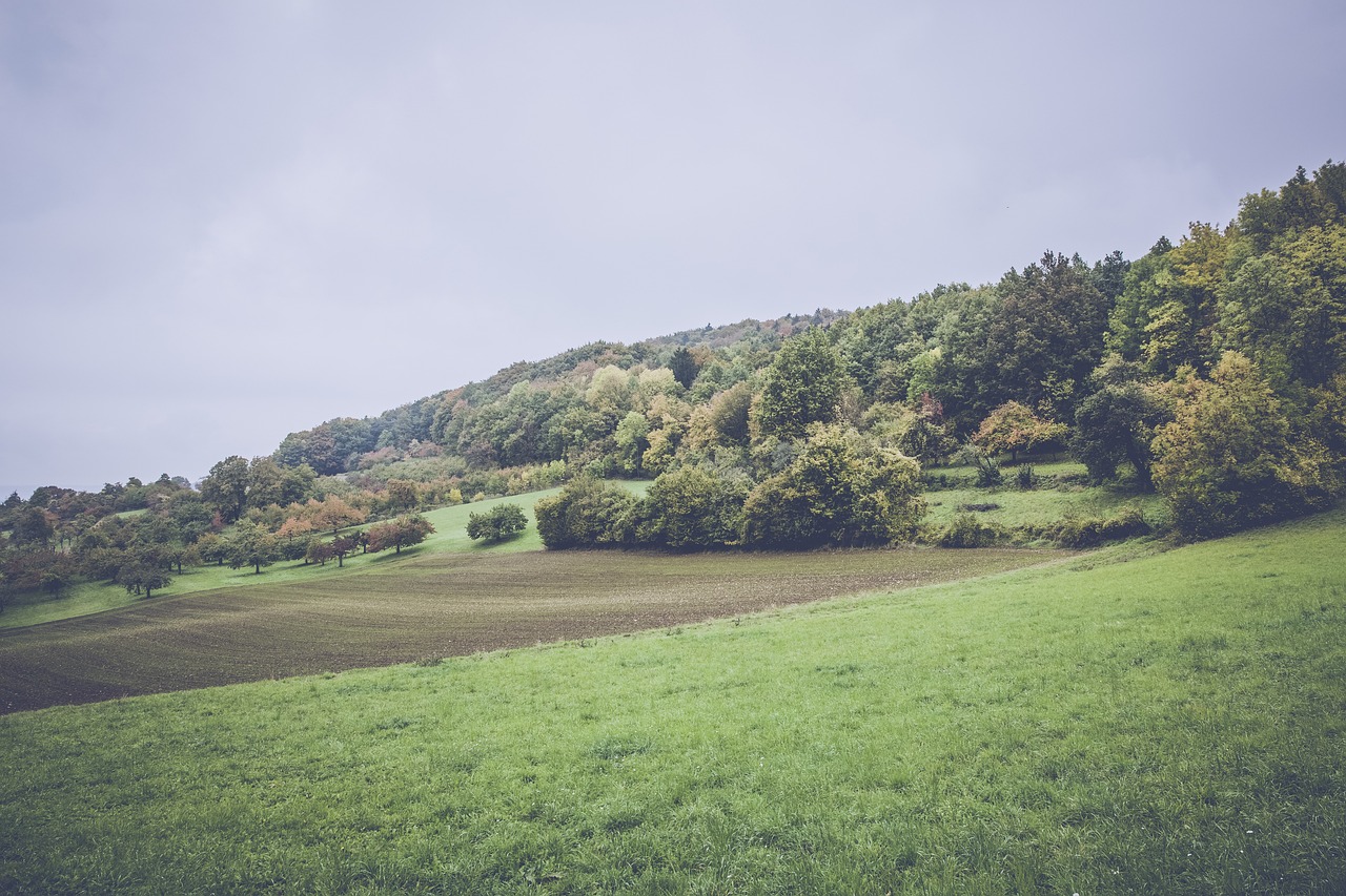 星湖廣場(chǎng)最新動(dòng)態(tài)揭秘，城市新地標(biāo)的發(fā)展脈絡(luò)與未來展望