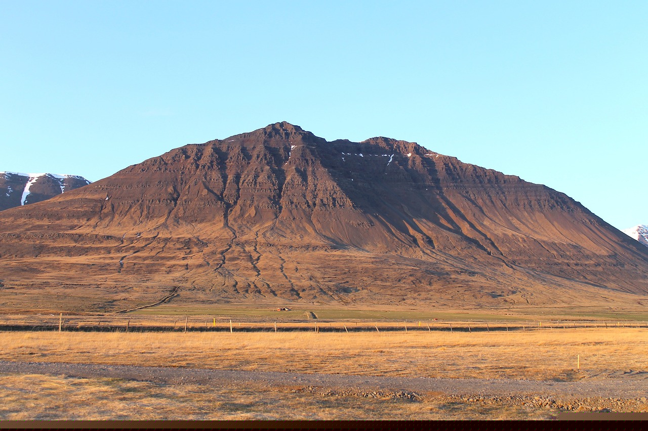 李七喜的最新動態(tài)與成就概覽