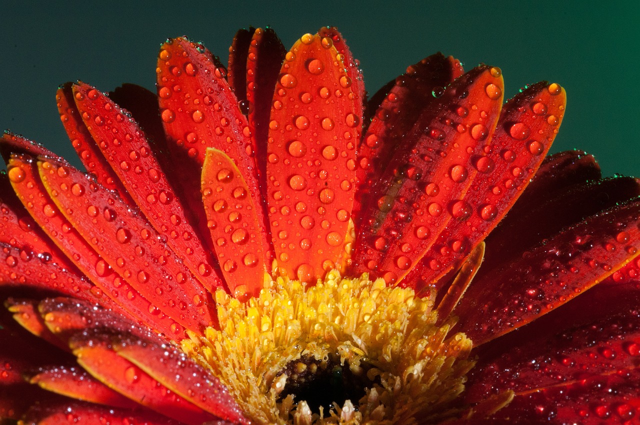 聚有錢最新消息全面解析與動(dòng)態(tài)更新