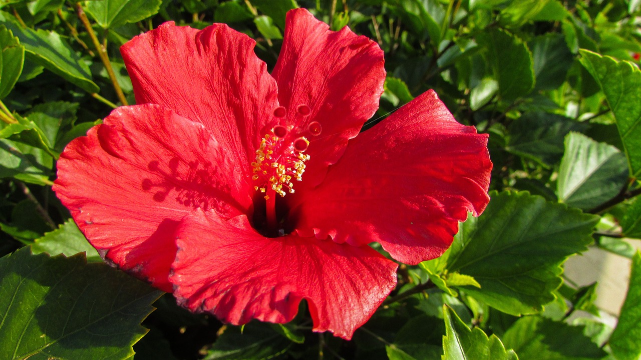 佛山市最新人事任免動態(tài)與深遠(yuǎn)影響分析