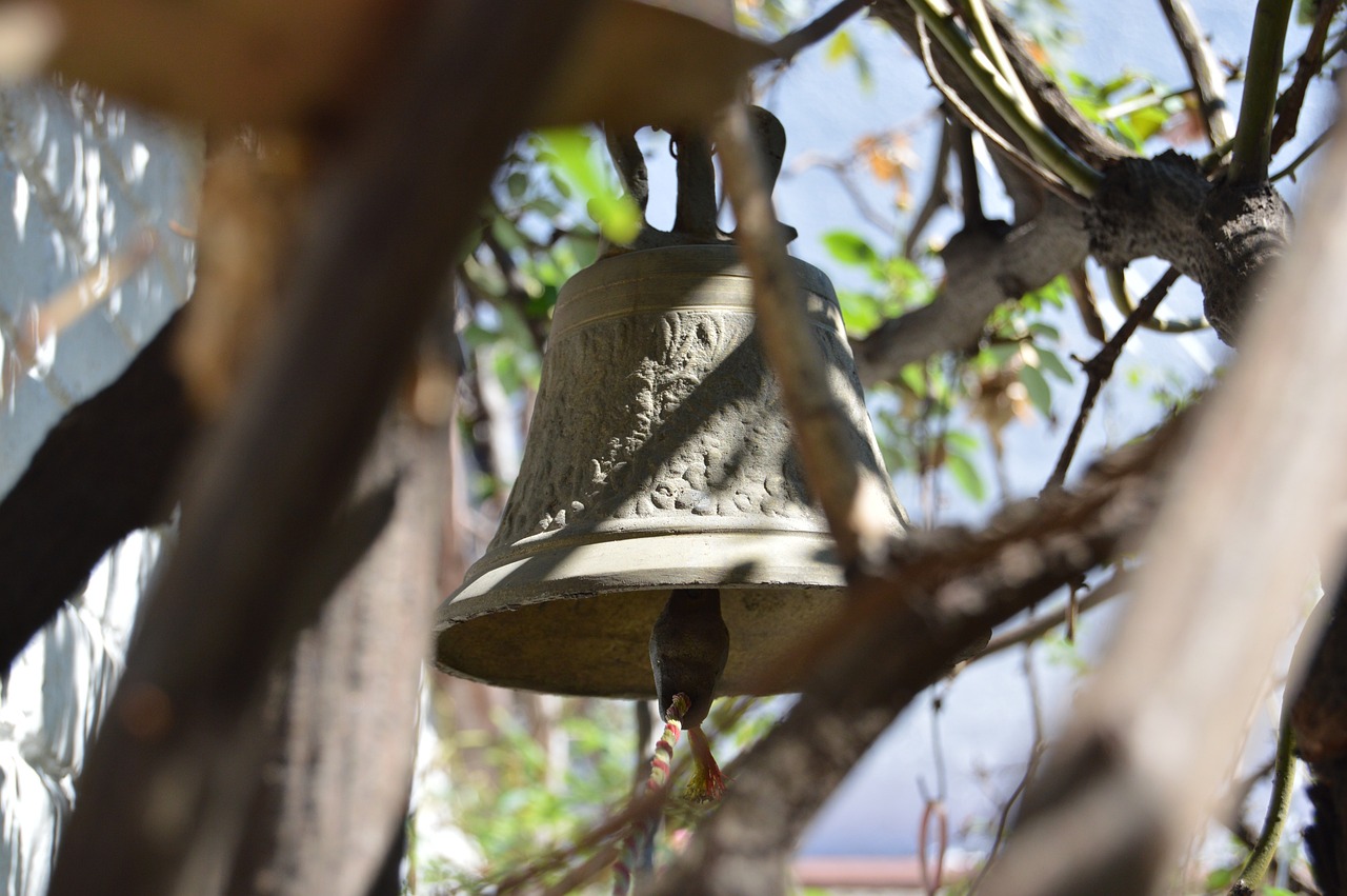 二傻子 第20頁(yè)