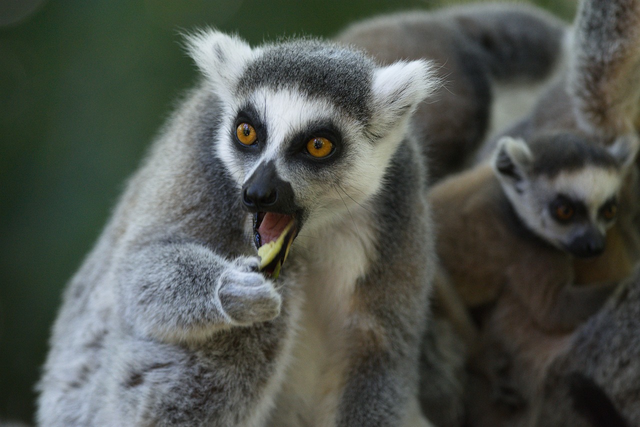 綏中猴山水庫最新動態(tài)與進展消息更新