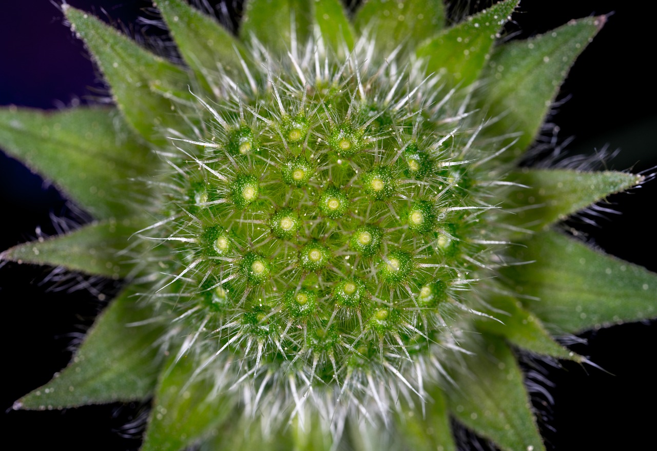 肥西撤縣設(shè)區(qū)邁入新征程，最新消息與縣域發(fā)展動(dòng)態(tài)