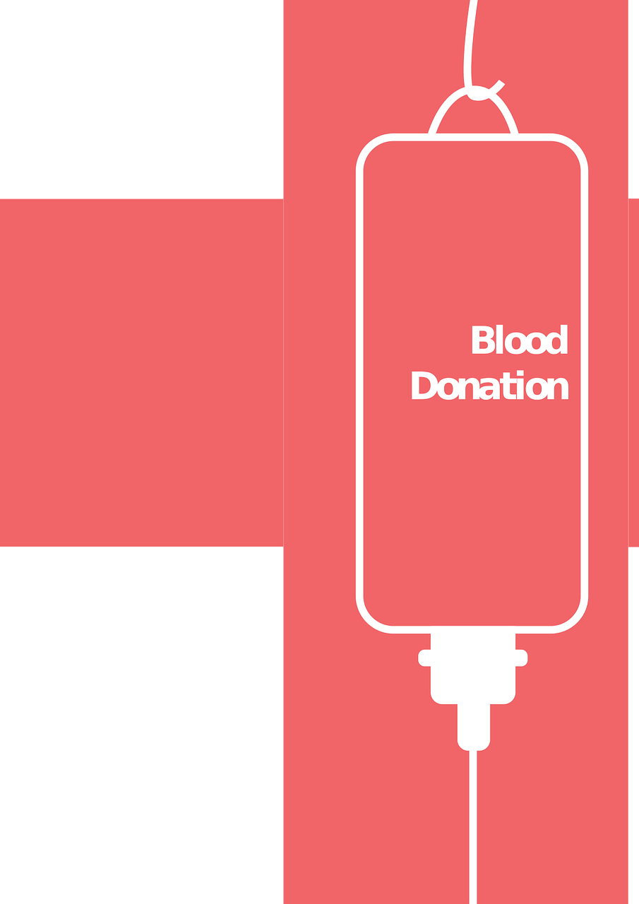 丹參最新價(jià)格動(dòng)態(tài)，市場(chǎng)影響分析與趨勢(shì)預(yù)測(cè)