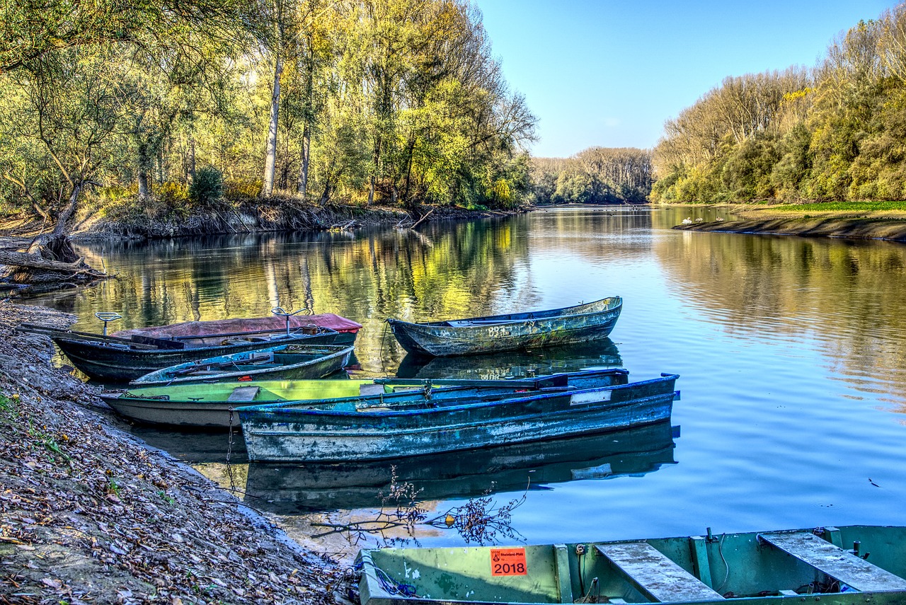 火影端最新動(dòng)態(tài)深度解析與最新資訊