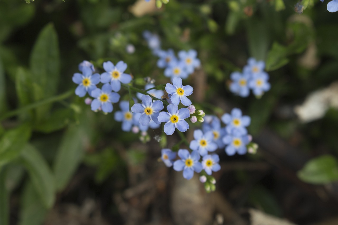 專利官費最新動態(tài)，影響及最新發(fā)展概述