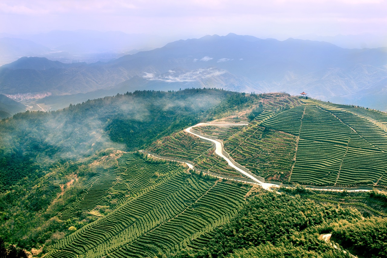 新時代警界楷模，熊警官的最新動態(tài)