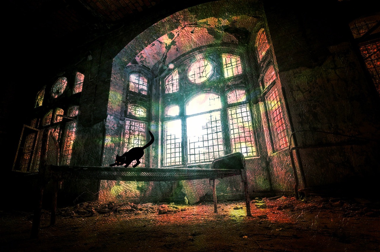 探索沉香世界的神秘魅力，最新沉香視頻大放送