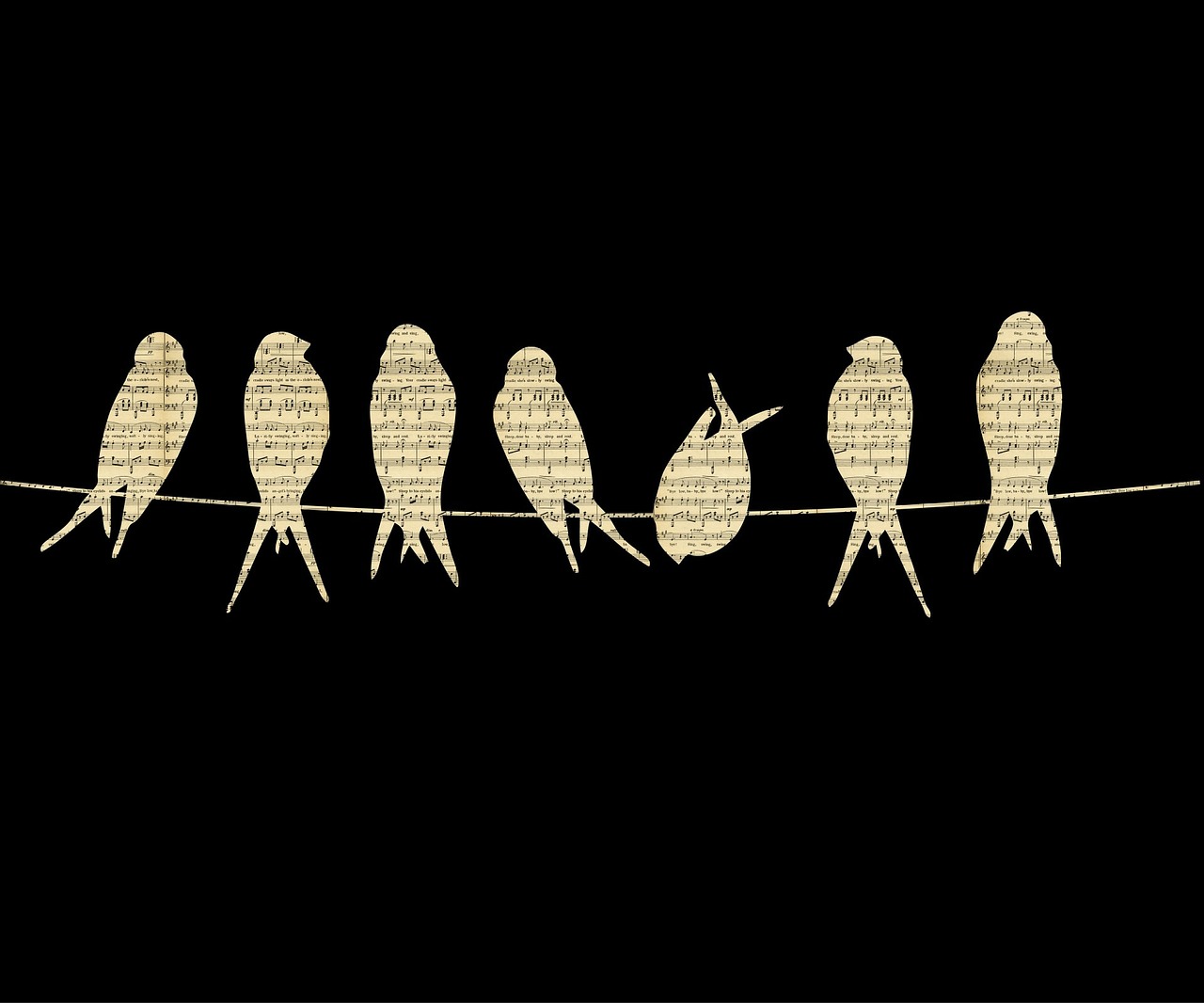 音樂世界的璀璨瑰寶，最新完美音符賞析