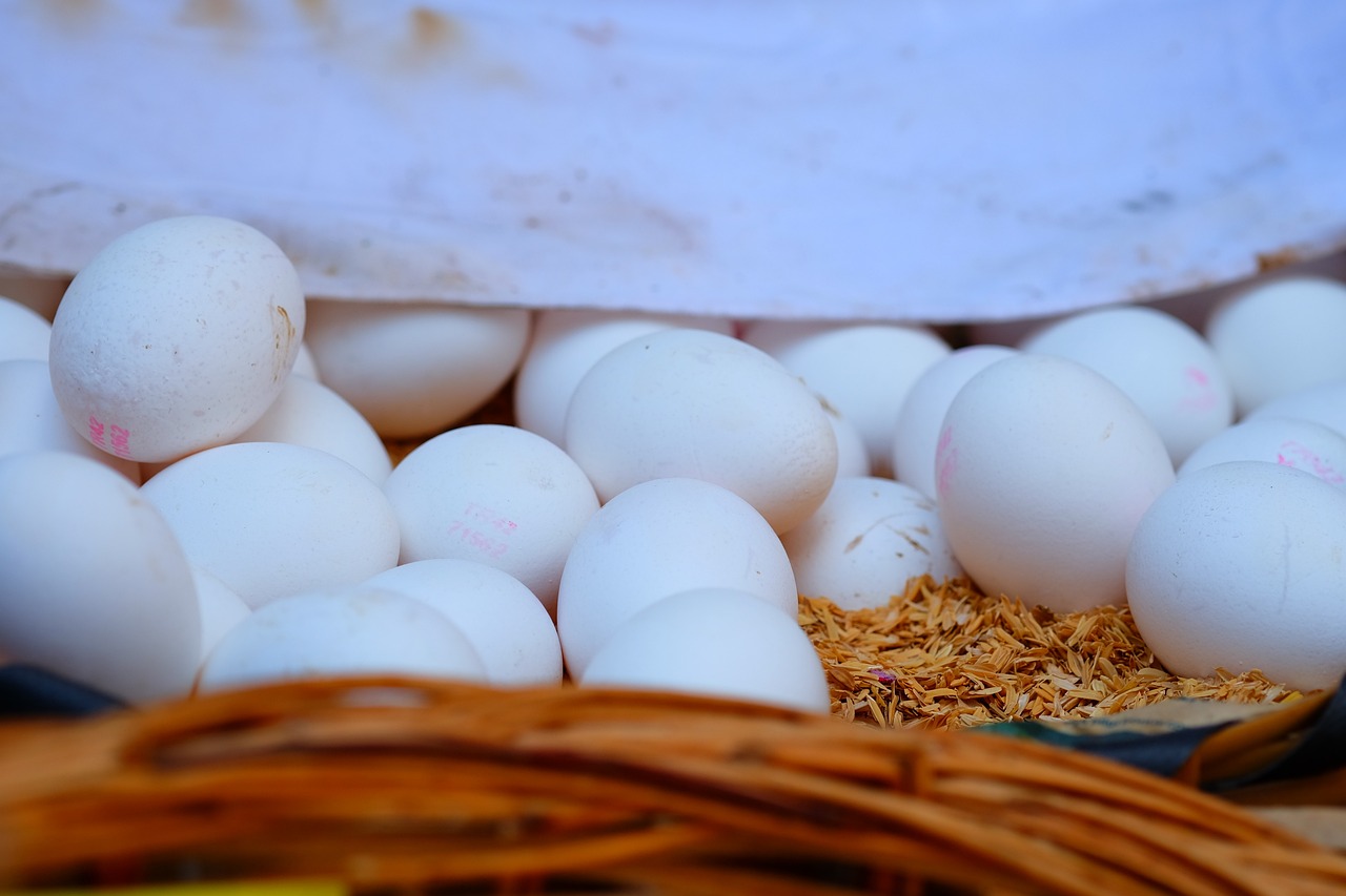 鈧最新價(jià)格動態(tài)分析與趨勢預(yù)測