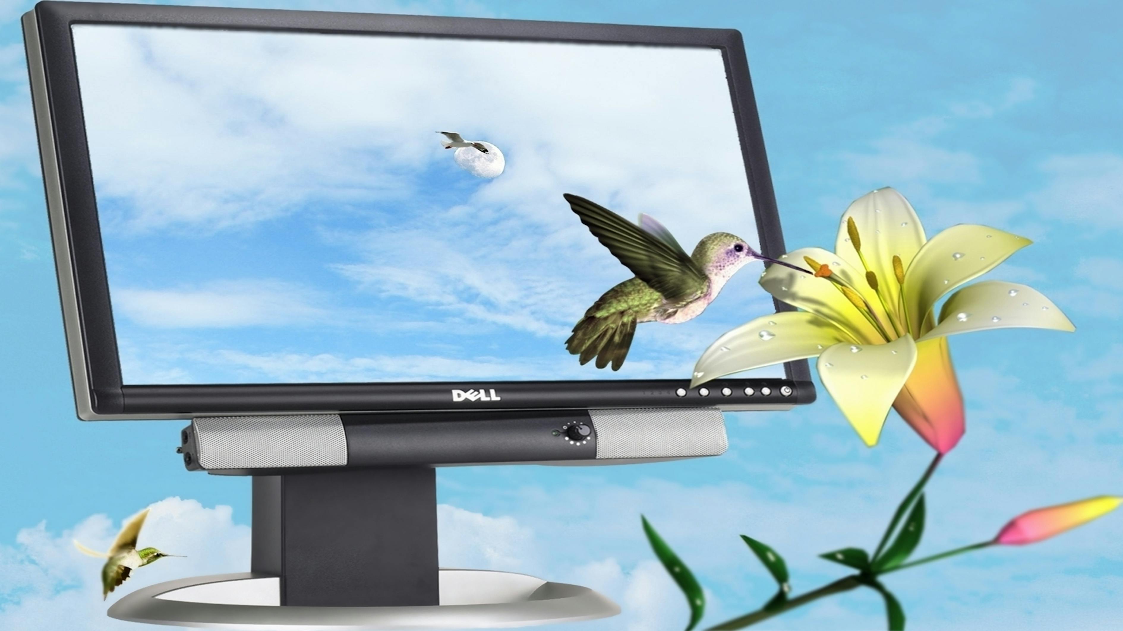 巨野新聞最新報(bào)道，縣域發(fā)展新動(dòng)態(tài)與社會(huì)熱點(diǎn)深度解析