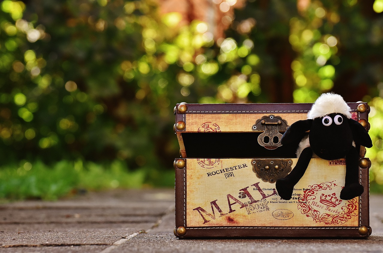 探索新領(lǐng)域，2017最新愛搞搞